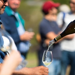 Napa and Sonoma Wine Country Full-Day Tour from San Francisco 5