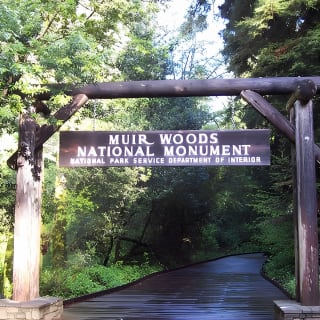 3 in 1 Tour: Muir Woods, Sausalito & Half Day Wine Country Visit 3
