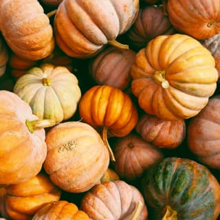 Prepárate para Halloween 2 1