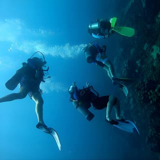 Bajo un mar de aventuras, inmersiones inolvidables. 28