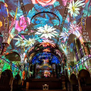 GENESIS: An Immersive Journey Based on the Creation Story | Trier – Waitlist 6