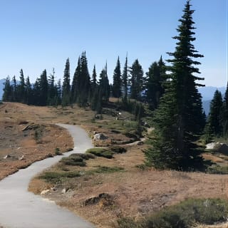 Kleingruppen-Tour durch den Mount Rainier National Park ab Seattle 3