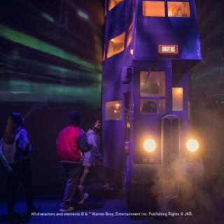 Harry Potter: Visions de la magie 3