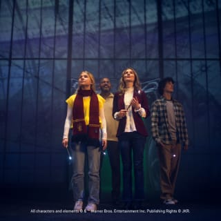Harry Potter: Visions de la magie 4