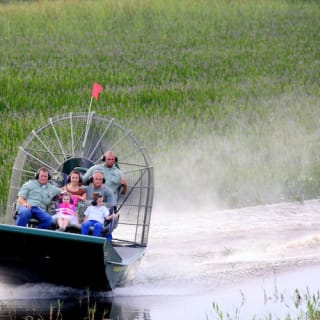 Wild Florida 30-minute Everglades Airboat Tour 5