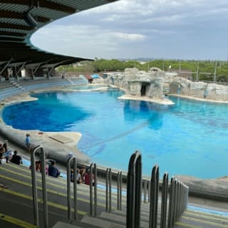 Oltremare Riccione 1