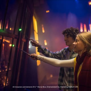 Harry Potter: Visions de la magie 5