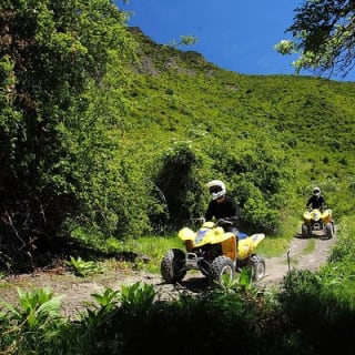 Above The Skyline Quads 4