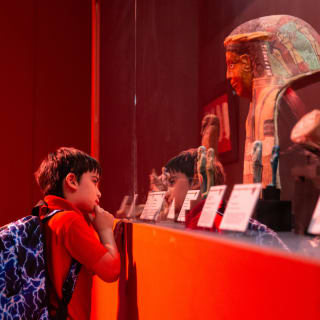 Cleopatra: The Immersive Experience 8