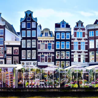 Amsterdam: Dagtocht vanuit Brussel met kaas, klompen en windmolens 5