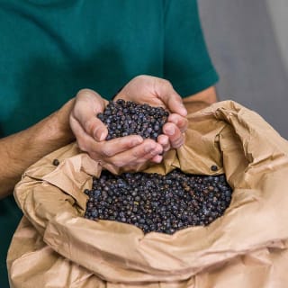Non-Alcoholic Distillery Tour & Cocktail Masterclass 5