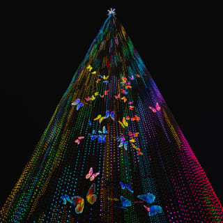 Festilumi - 香港 5