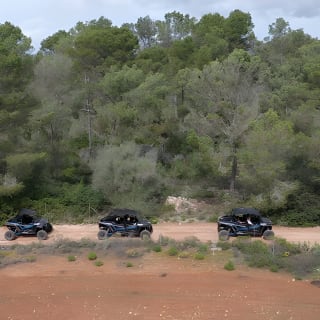 Offroad- und Onroad-Tour mit 2- und 4-Sitzer-Buggys auf Mallorca 5