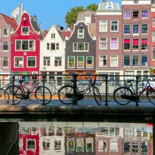 Amsterdam: Dagtocht vanuit Brussel met kaas, klompen en windmolens 6