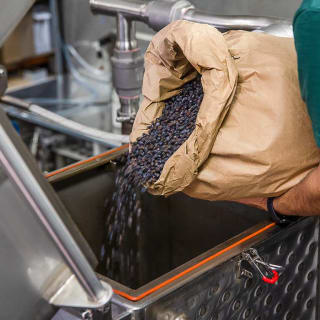 Non-Alcoholic Distillery Tour & Cocktail Masterclass 3