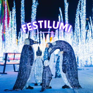 Festilumi - 香港 2