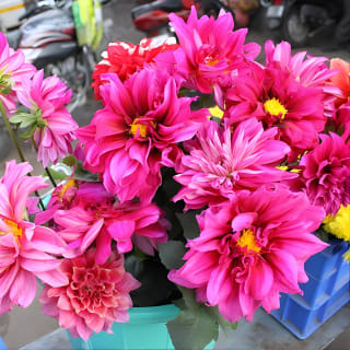 Take in the Beauty of an Early Morning with Fresh Flowers  9