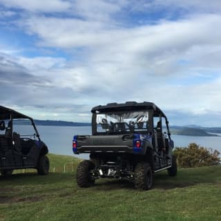 Off-Road 4WD Buggy Adventure from Rotorua 2