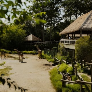 Norfolk's Passport to Fun Admission Tickets and Savings 6