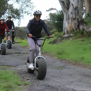 Gravity Scooter and Urban Safari on Table Mountain 4