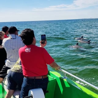 Hydrojet Dolphin Cruise 24