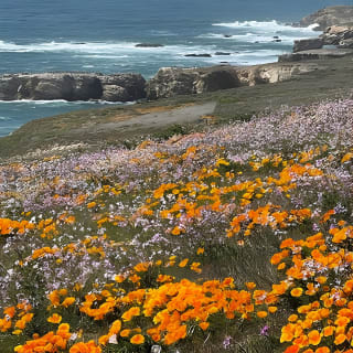 3-Hour Kayaking and Hiking in California’s Central Coast 16