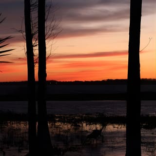 Colonie de vacances au lever du soleil à Orlando 3