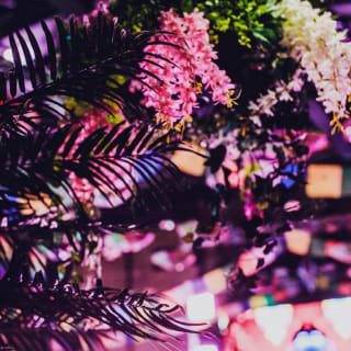 Little Festival at Studio 338: 2018 Closing Party 3