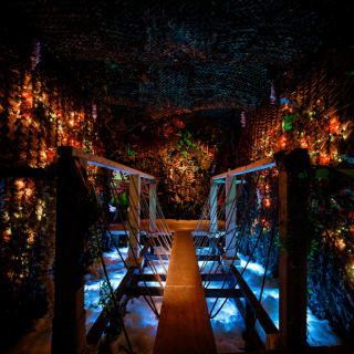 Avora: A New World Immersive Experience 6