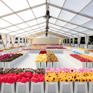 Cj Hendry's Flower Market 6