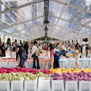 Cj Hendry's Flower Market 1