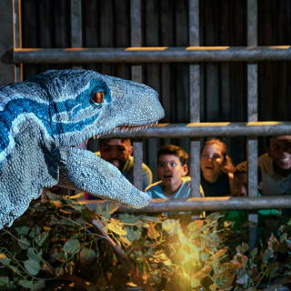 Jurassic World: The Experience 6