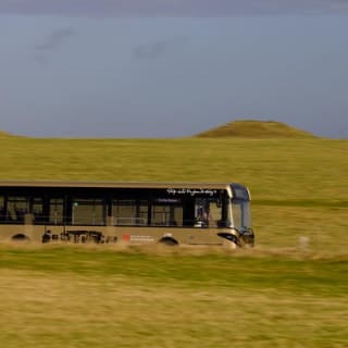 London to Stonehenge Shuttle Bus et excursion d'une journée indépendante 10