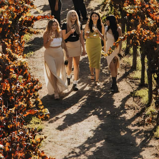 Grupo pequeño: La Ruta del Vino definitiva por Napa & Sonoma 4
