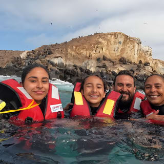 Nadar con Leones Marinos en Isla Palomino en Lima con Entradas 2