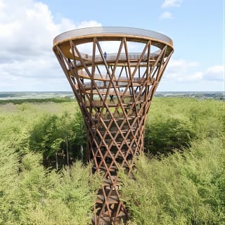 The Forest Tower and Forgotten Giants-A day tour from Copenhagen 2