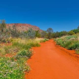 Alice Springs Desert Park General Entry Ticket 5