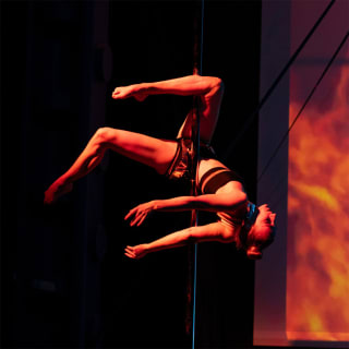 Vertical.Show by Pink Puma: An Award-winning Pole & Aerial Show 3