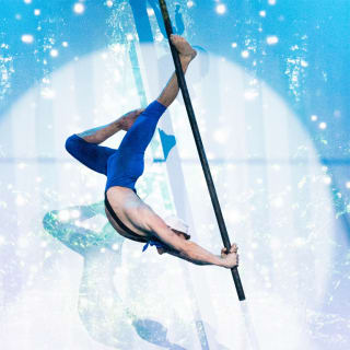 Vertical.Show by Pink Puma: An Award-winning Pole & Aerial Show 4