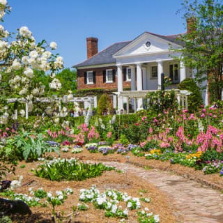 Boone Hall Plantation All-Access Admission Ticket 6