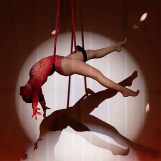 Vertical.Show by Pink Puma: An Award-winning Pole & Aerial Show 5