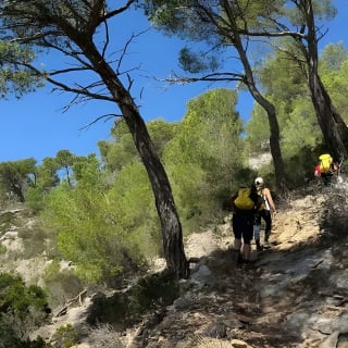 Discover one of the most beautiful caves in Alcudia. 6