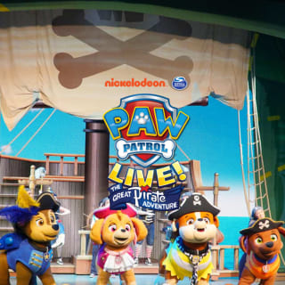 PAW Patrol Live! The Great Pirate Adventure - Birmingham 4