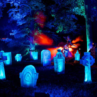 Disney Tim Burton’s The Nightmare Before Christmas Light Trail 3