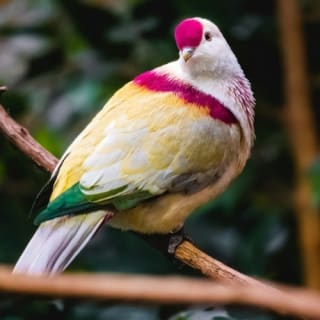 Toledo Zoo & Aquarium: boleto de entrada 6