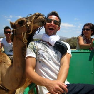 Paseo en camello por las dunas de Maspalomas 3