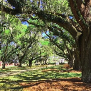Boone Hall Plantation All-Access Admission Ticket 11