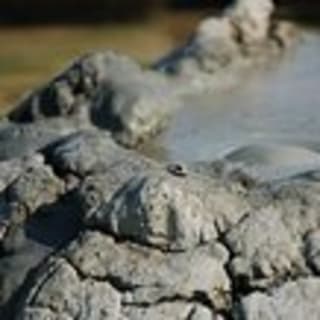 Yellowstone National Park Audio Driving Tour 8