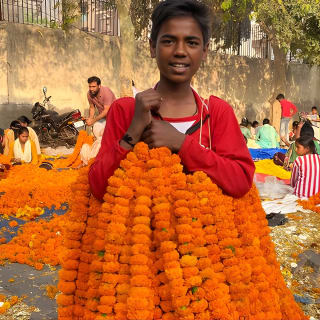 Tour privado de medio día del Mercado de Flores de Delhi 7