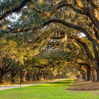 Boone Hall Plantation All-Access Admission Ticket 12